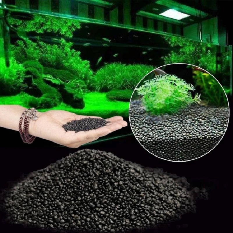 Planted Aquarium With Sand - Aquarium Water Gras Modder Plant Zaad