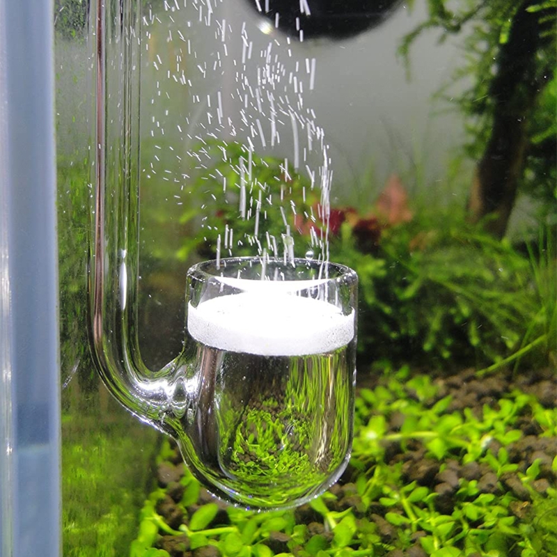 Planted Aquarium Parameters - D0AD Glazen CO2-diffusor voor aquarium, beplant