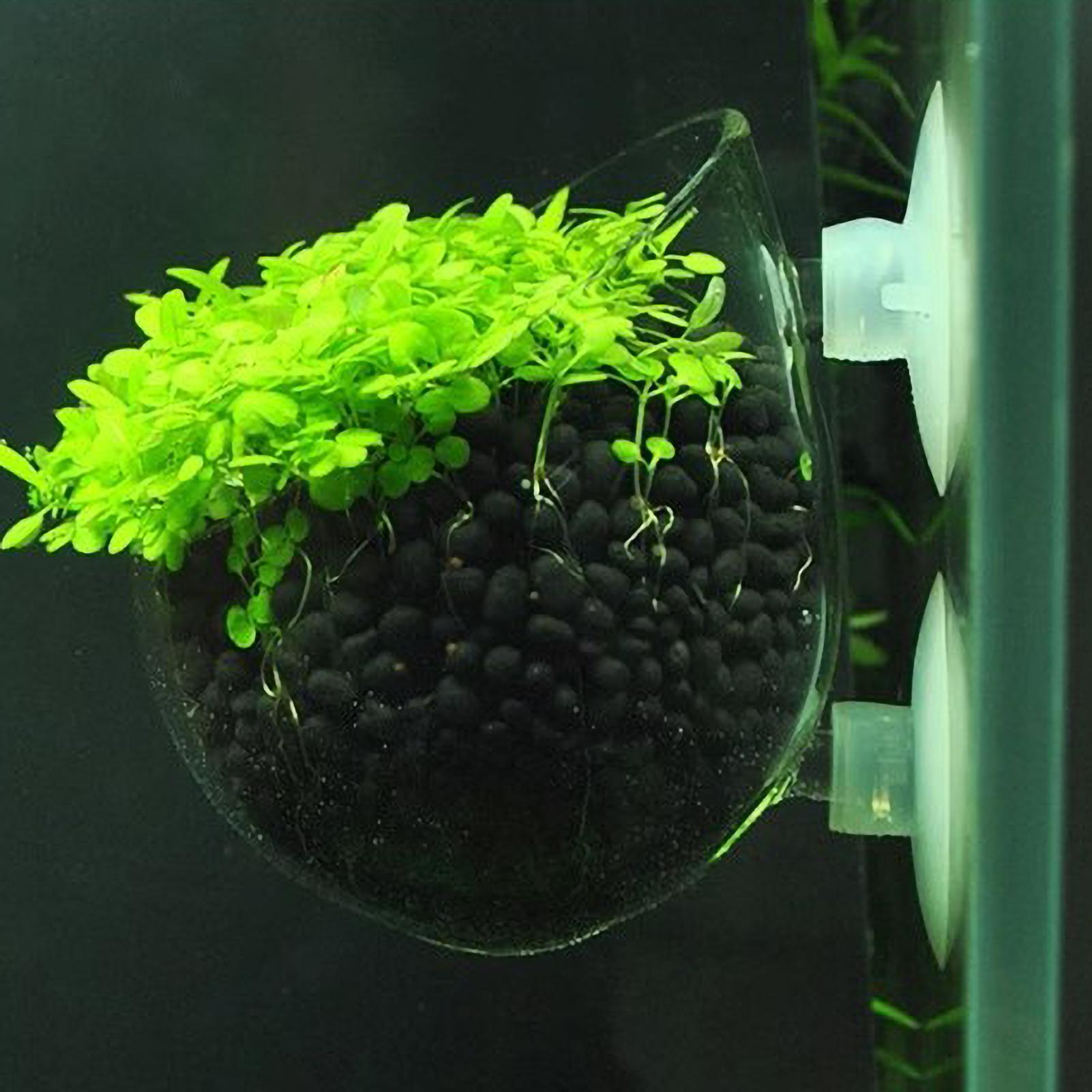 Aquariumplantenhouder Glazen A - Aquarium Plant Gel recensie en prijs