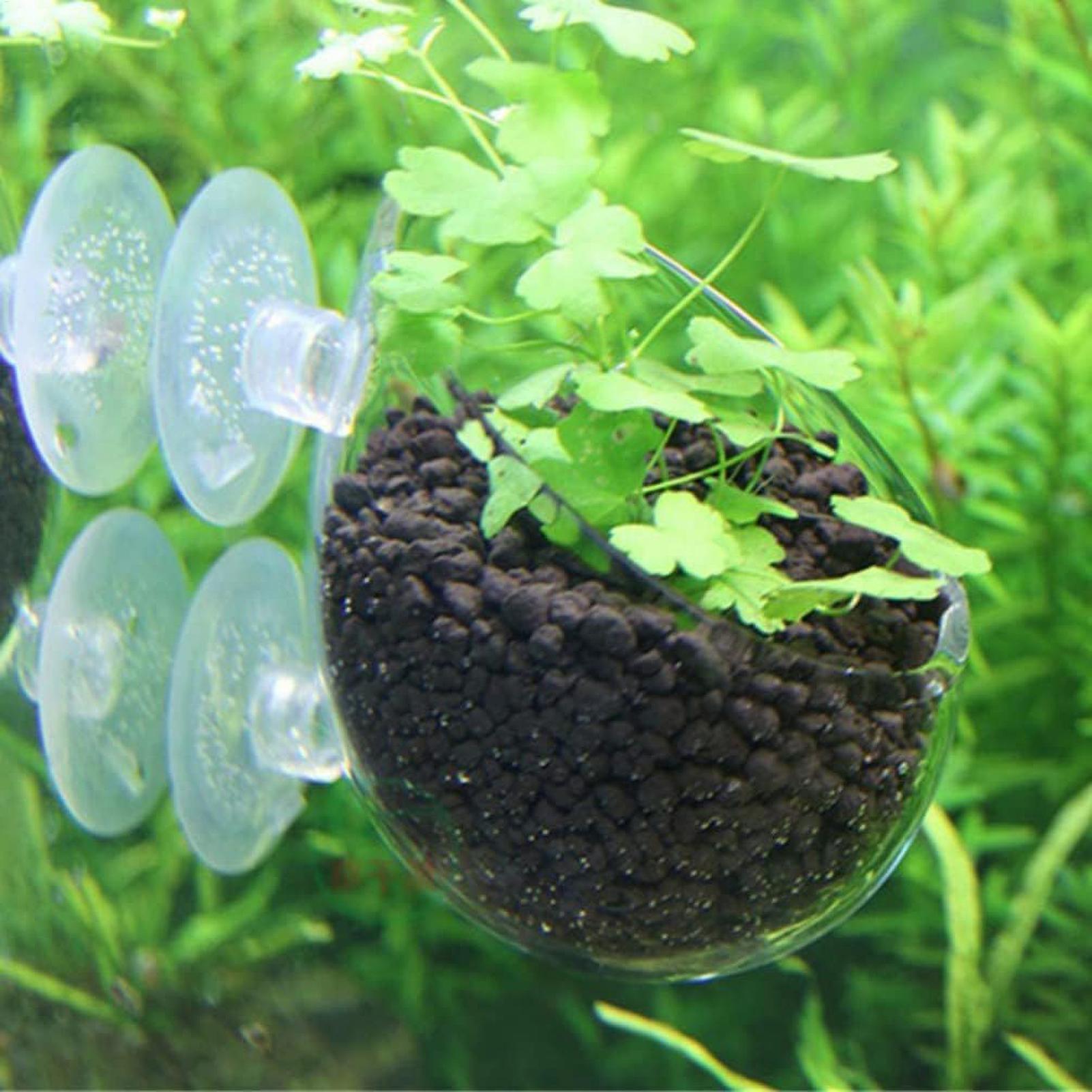 Aquariumplantenhouder Glazen A - Aquarium Plant Gel recensie en prijs