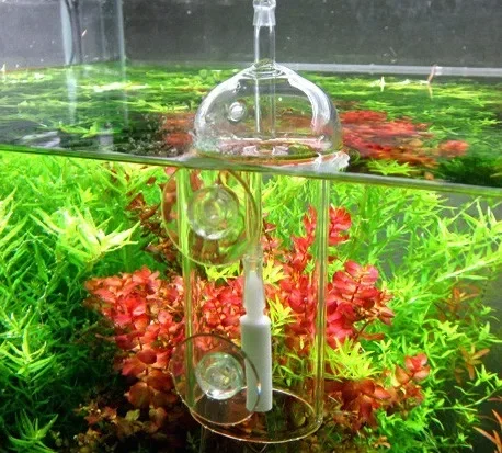 VIV Do Apparaat Aquarium Cilin - Planted Aquarium Parameters recensie en prijs