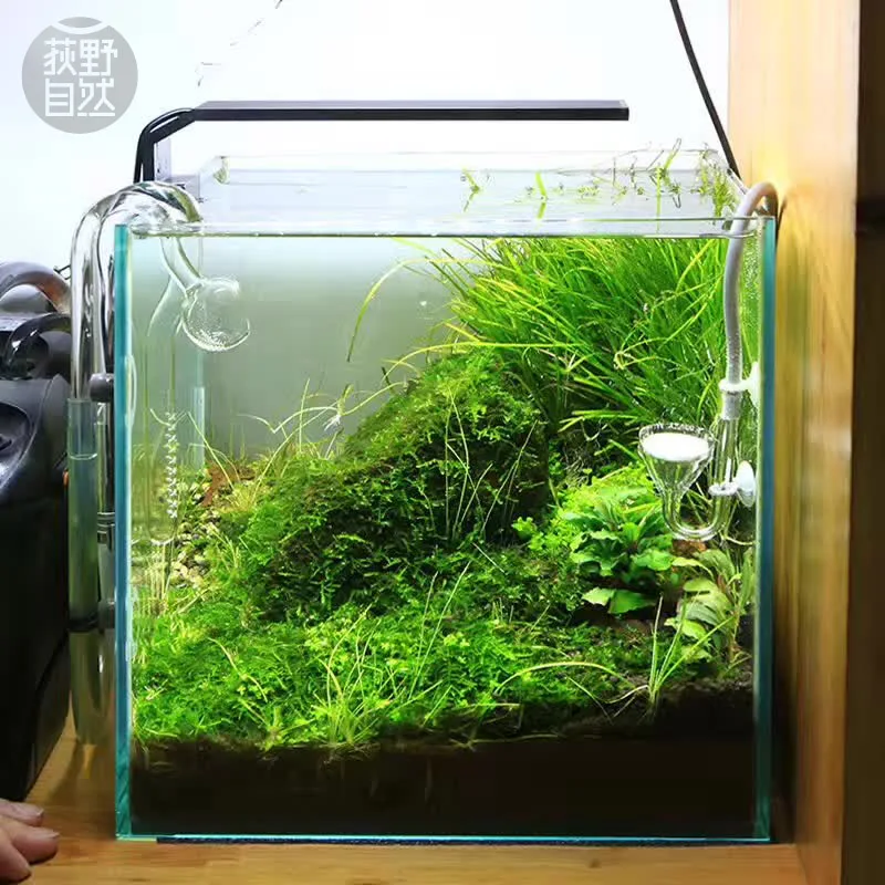 Spiritedos C-serie ADA-stijl P - Planted Aquarium Mini recensie en prijs