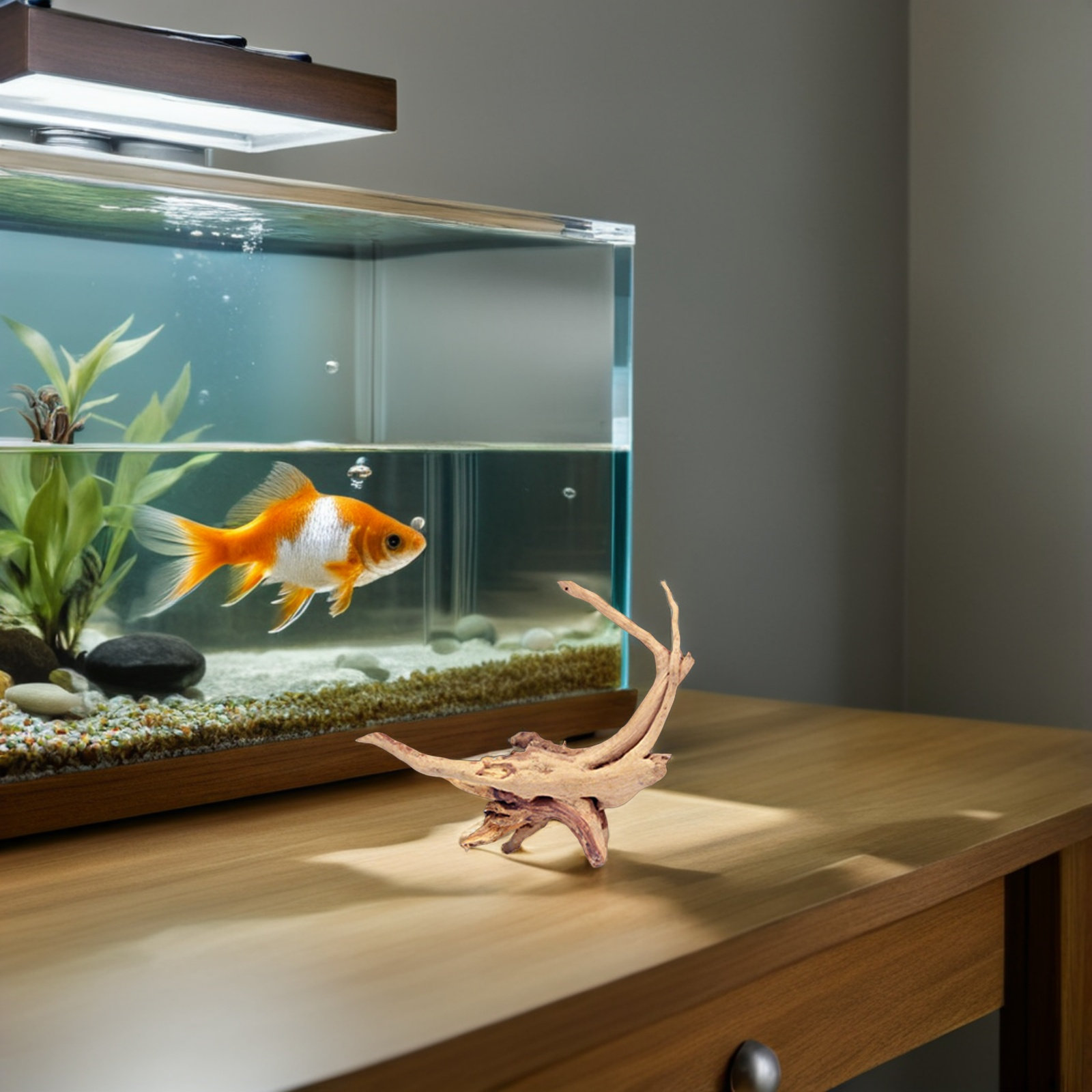 4 stuks drijfhout aquariumdeco - Planted Aquarium Ph recensie en prijs