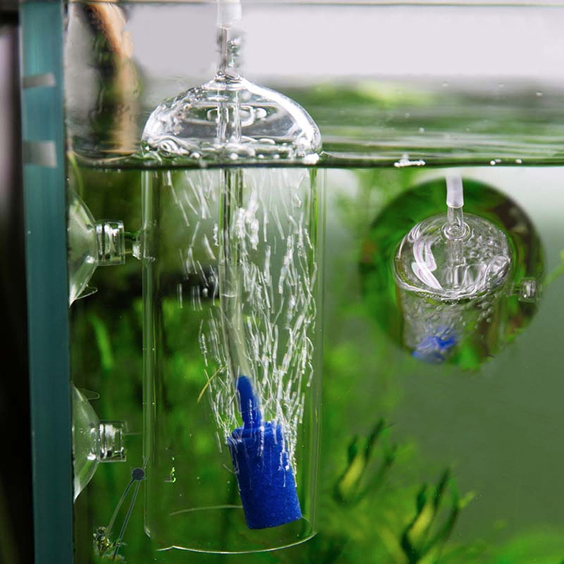 5 Stuks Aquarium Cilinder Vorm - Aquarium Lily Pipe recensie en prijs