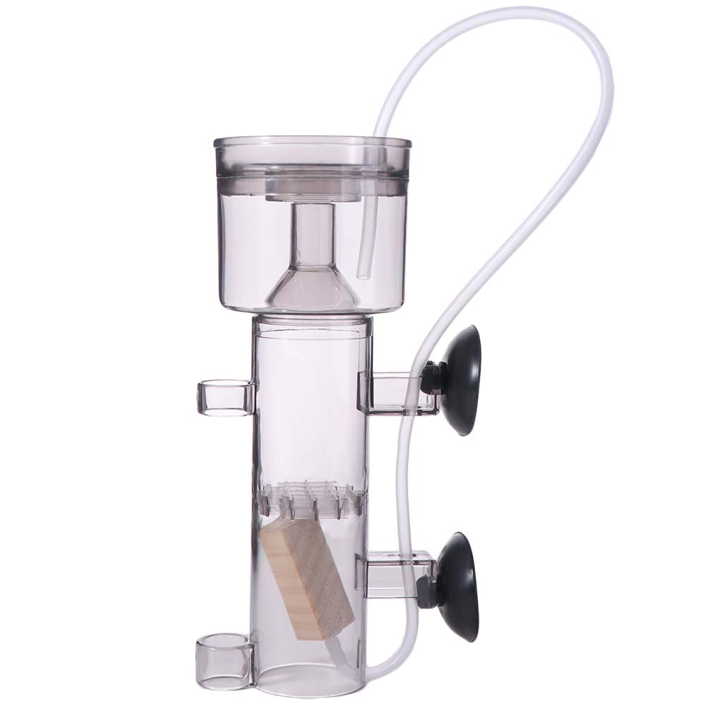 Zuignap aquarium eiwitafschuim - Aquarium Lily Pipe recensie en prijs